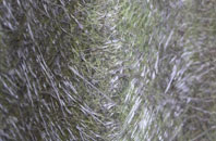 Atlantic Wharf fibreglass roof work